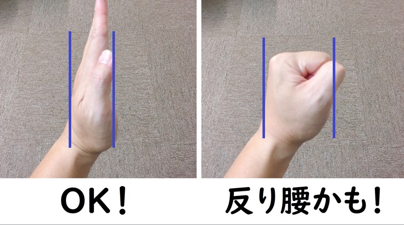 反り腰を自分でチェックする時の手の厚みの写真。左側は手に平一枚分、右側は拳の厚みで、反り腰をチェックする時の補足イメージ