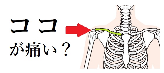 6. 遠位鎖骨骨溶解症